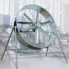 ILȹSλͨL{LCBֳLrÓPȴ