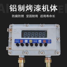 宏力隔爆型防爆称重显示控制器RS485modbus-rtu/4-20ma模拟量仪表