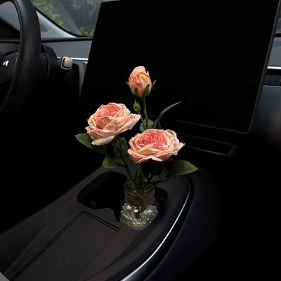 Car ornaments – for Women