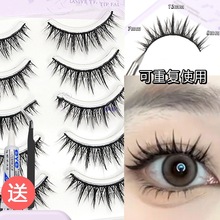 ӲٽëɓpƤһƬʽСħŮp[Ȼ