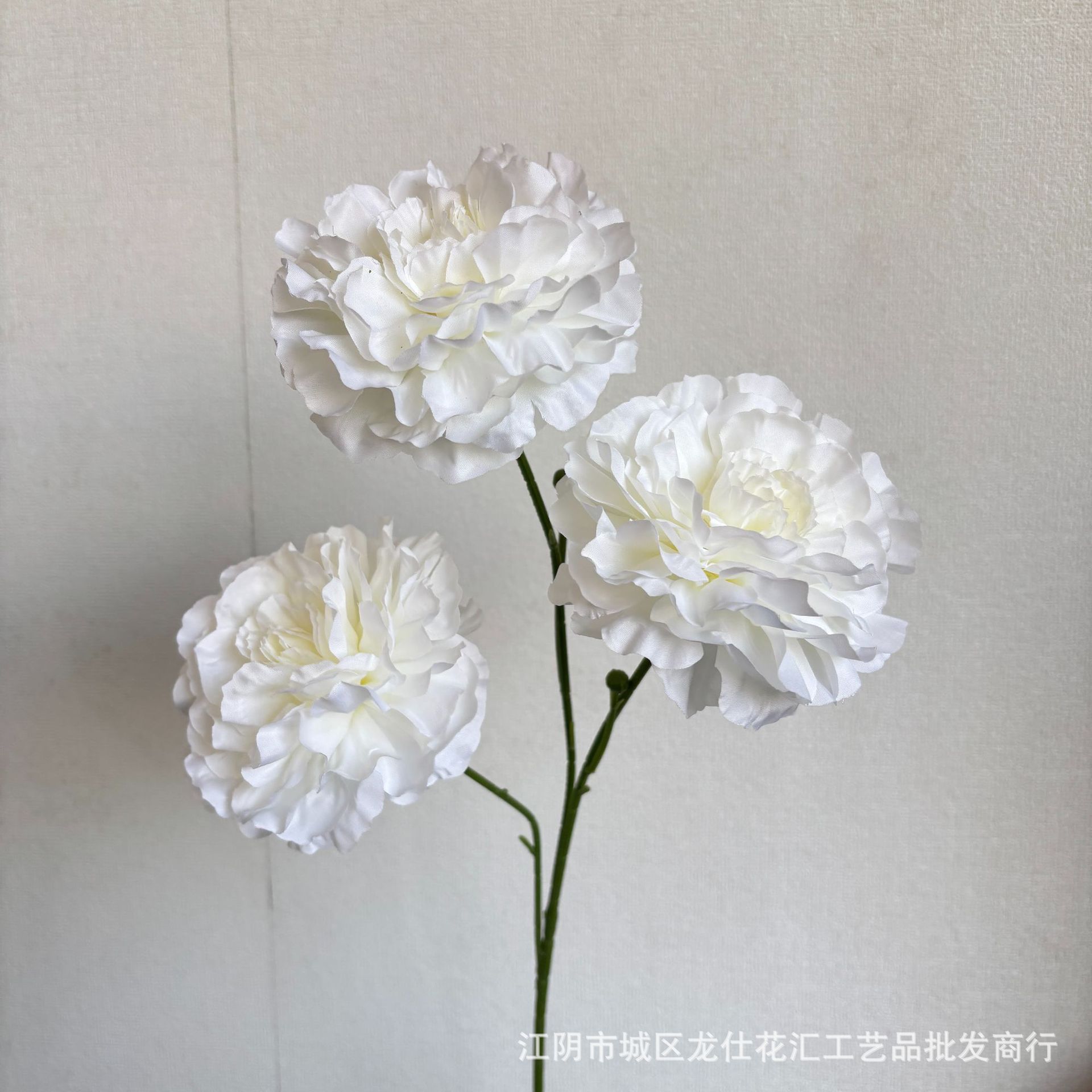 자미꽃
