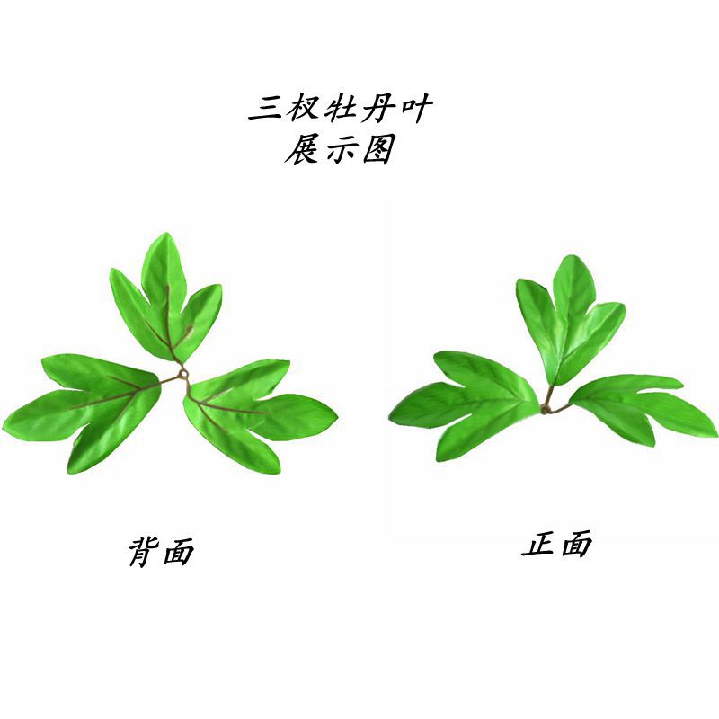 照屏 Crafts Manufacturer Wholesale Simulation Flower Raw Materials Tricho Peony Leaf Green Plant Simulation Decorative Leaf 3