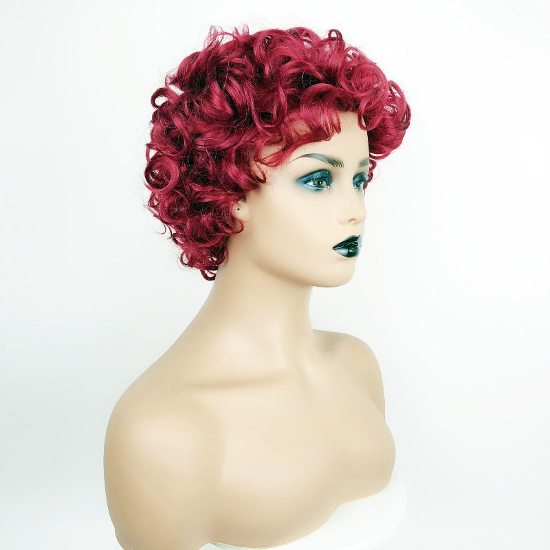 Casual Occasion Women's Fashion Casual High Temperature Wire Bangs Short Curly Hair Wigs