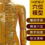 十二男女经络针灸模型