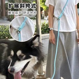 狗狗牵引;宠物项圈;猫猫玩具