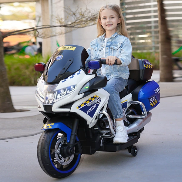 White standard equipped with 12V7A electric dual drive pedals
