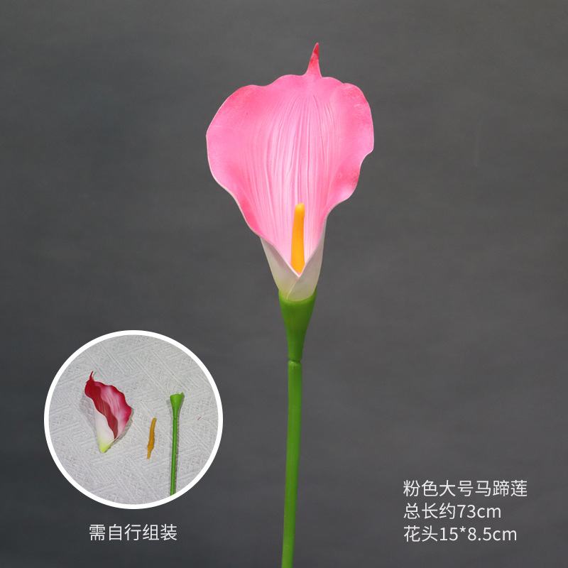 큰 분홍색 칼라 백합 한 송이