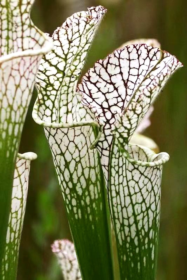 微信图片_20210520111331