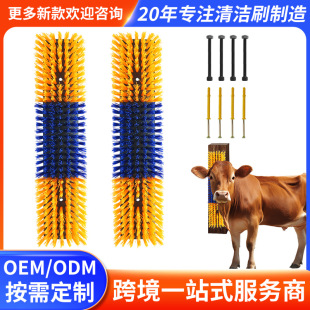 �羳��Ƭţ�wˢ�����坍��ţ��ϴ��߅�Ͱ�Ħ��Wţ�w�R�wˢ��