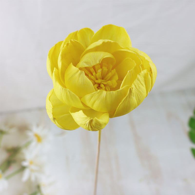 Una flor de peonía amarilla pálida