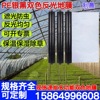 wholesale black shading Weed PE Film Moisture Punch holes Agriculture Plastic Film Double color Reflective Film