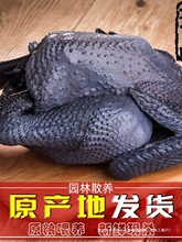 ɢ�B�����u�F�����r���u�r�Ҟ��uС���u���u���r��ĸ�u�ߵ��u��ֻ