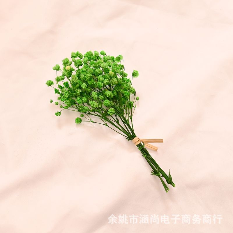 Flores secas transfronterizas ramo pequeño Cielo estrellado amante de la hierba nome olvides de la vida eterna decenas de millones de estrellas caja de regalo decoración florero pequeño ramo