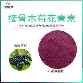 接骨木莓花青素25%黑接木果提取物花青素粉厂家接骨木莓花青素