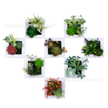 ӆ�Ʒ���ֲ����� �ڒ����Ҿ��b�ֲ� ������ℓ��[��