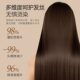 Nordic Qingshe Double Pump Caviar Essence Shampoo Amino Acid Mild Anti-dandruff Repair Oil Control Shampoo Wholesale