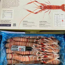 批发新西兰海鳌虾深海螯虾小龙虾新鲜甜虾海鲜水产日料刺身1公斤