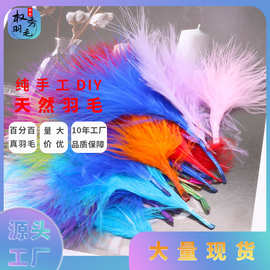 大量现货血管绒火鸡羽毛diy饰品配件猫玩具芭比娃娃工艺品装饰