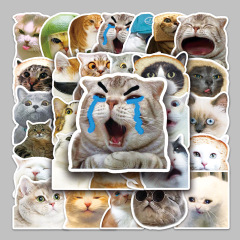 50枚のかわいい猫の表情は子供のアイデアを包んで面白いdiyのノートの携帯電話の携帯電話の携帯電話の帳簿のステッカーの防水を包みます。