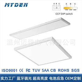 过CE rohs认证可调光CCT拨码20*120 15*120cm防尘防虫LED平板灯