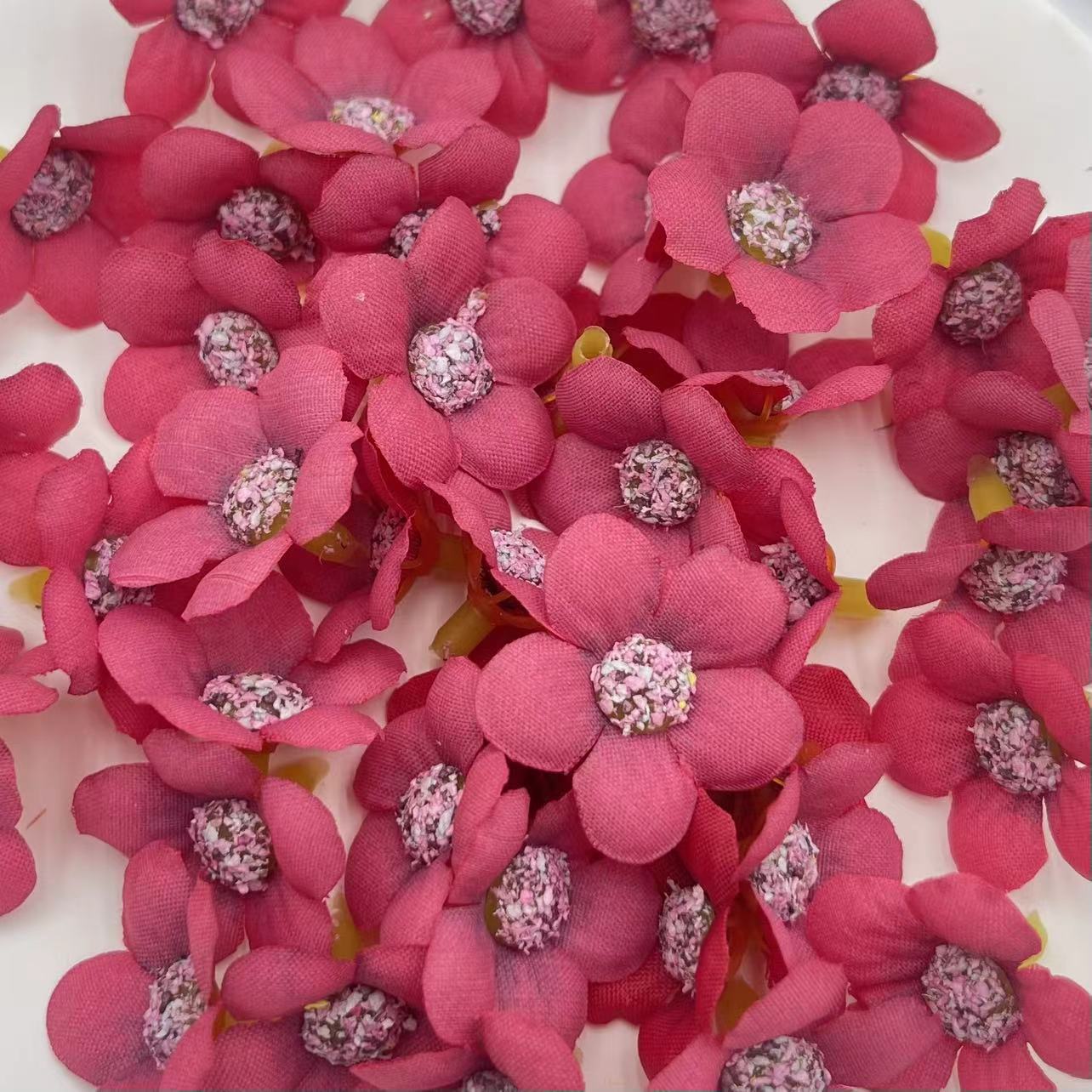 微信图片_20250227191924