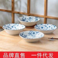 美浓烧日式创意釉下彩陶瓷盘菜碟饭盘 日本进口厨房家用餐具单个
