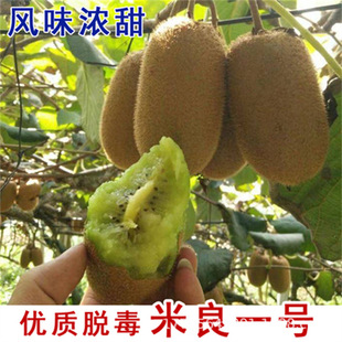 ܛ���J�������Ի��ڷۘ�������t�Ď������Ե�����ِܛ���Ә���
