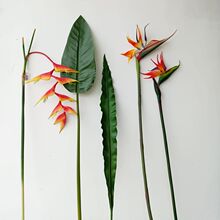 大天堂鸟假花家居装饰餐桌花艺摆件样板间花卉鹤望兰摄影