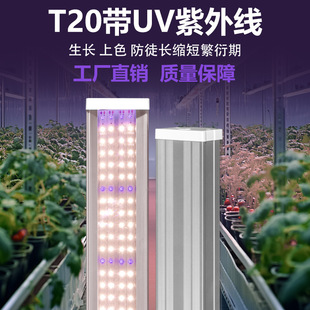 T20ȫ���VUVA���⾀ֲ��������҃ȶ�����ɫ��ͽ�L��̫ꖹ����L��