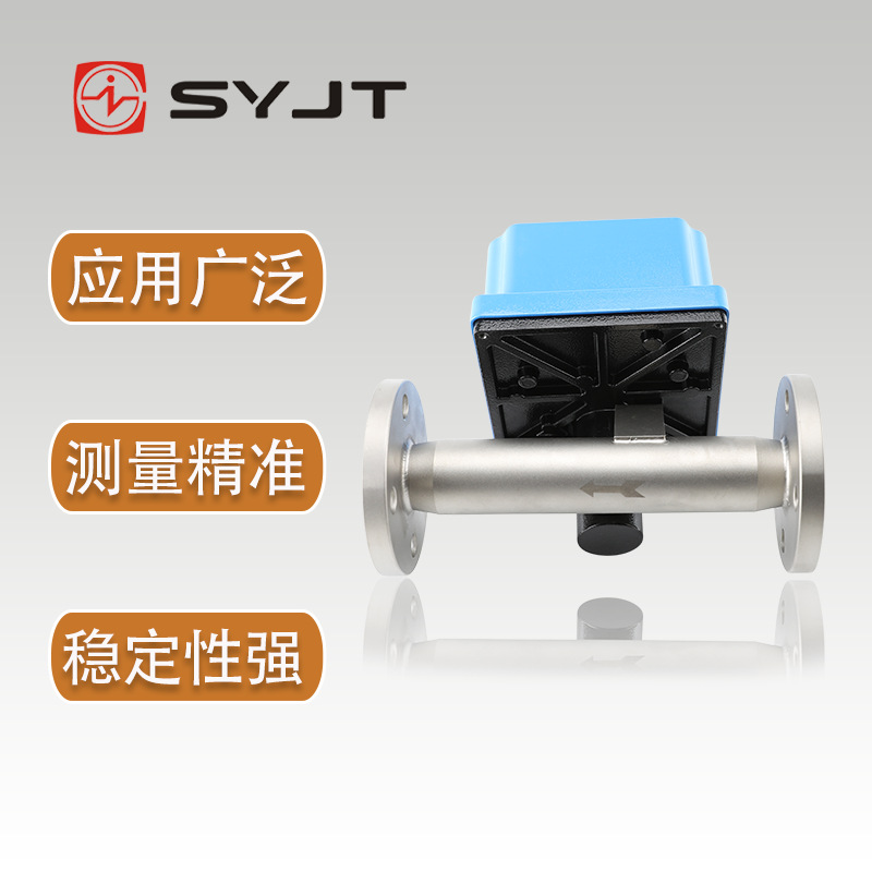 上仪精度高304 316材质 金属管浮子流量计 SY-LZZ-DN150