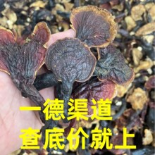 厂家批发大量干货西藏中号野生灵芝中药材煮水煲汤泡酒养生滋补