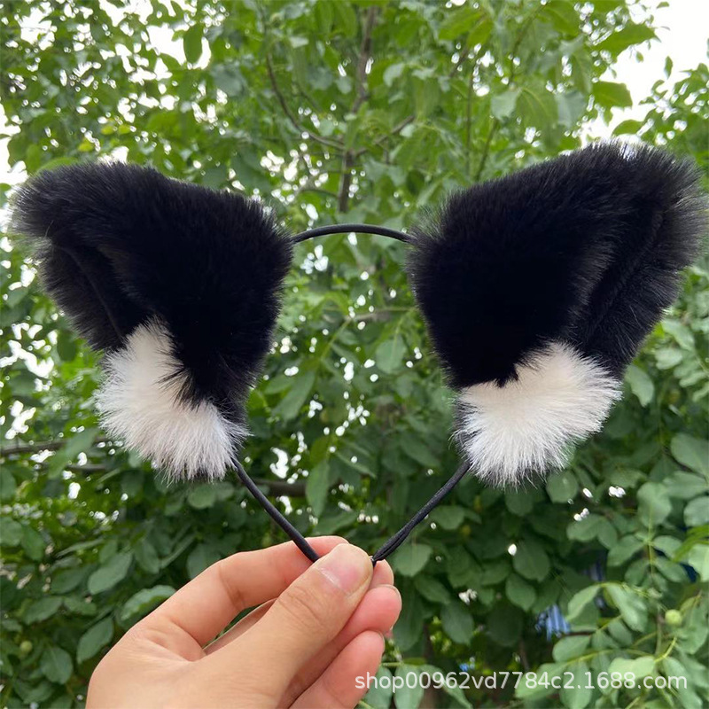 6bbcf113d9382fbc9517d2eef23187