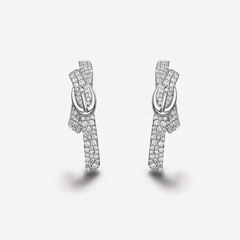 Elegant belt, earrings