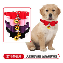 严选天鹅绒可爱领结金色铜铃铛宠物牵引绳 宠物项圈新品 宠物颈圈