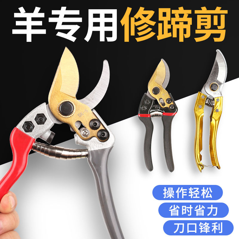 羊用修羊修蹄剪刀兽用猪蹄剪蹄羊蹄神器蹄子钳子脚趾牛蹄工具用品