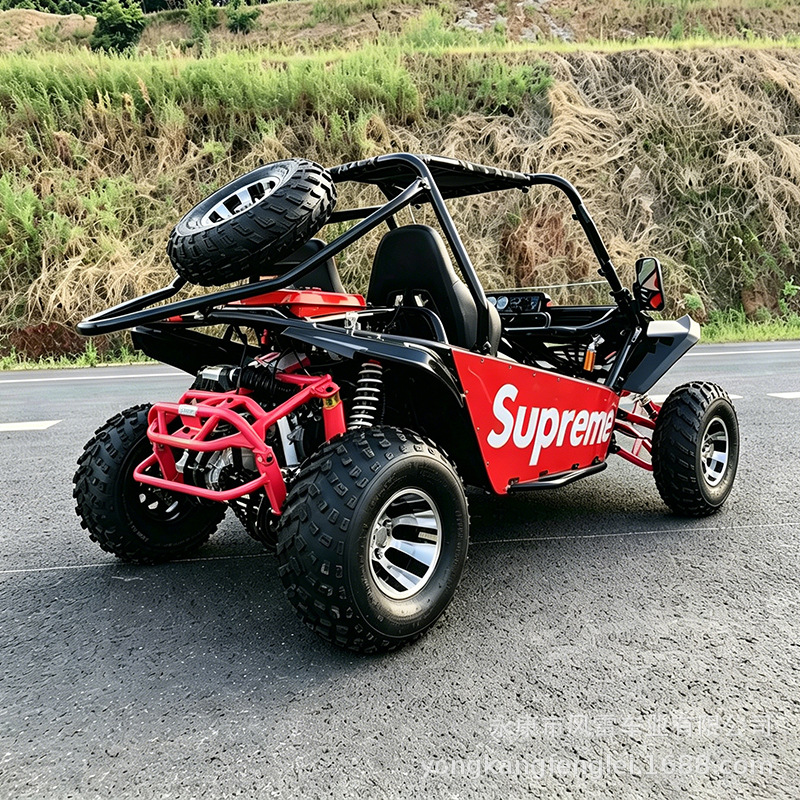 Go Kart Todoterreno de Dos Asientos 200-300cc de Hierro y Plástico con Arranque Eléctrico image 5