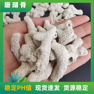 ɺ���� �~���^�V�����^ˮ��V��ɺ��ɰ �~���쾰�{��PHֵ��ɺ��ʯ