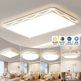 风扇灯;成套灯具;吸顶灯