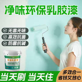 净味乳胶漆室内外自刷家用抗甲醛刷墙漆油漆墙面漆内墙涂料白墙漆