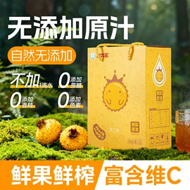 果蔬汁;其他果干蜜饯;其他冲调饮品