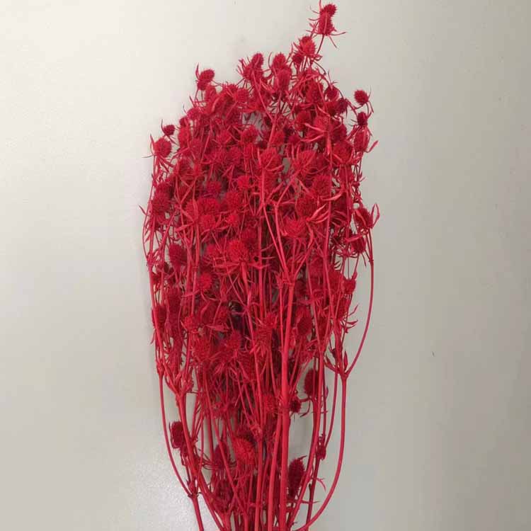 다크 레드 [약 100]