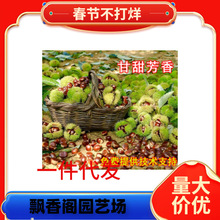 ع  ҎӰ a ̩ɽ r񃞻