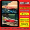 [Profit Promotion] Mix and match Sakura & Extreme Fire Shrimp for 10 and get 5 for free (total 15) shrimp food with free loss reserve