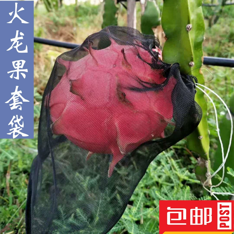 Фруктовая сетчатая сумка против птиц, мух и насекомых, специальная черная сумка для упаковки драконьего фрукта, сетчатая сумка против пчел и насекомых