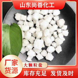 工业盐厂家 畜牧盐锅炉软水软水盐日晒盐工业级大颗粒盐