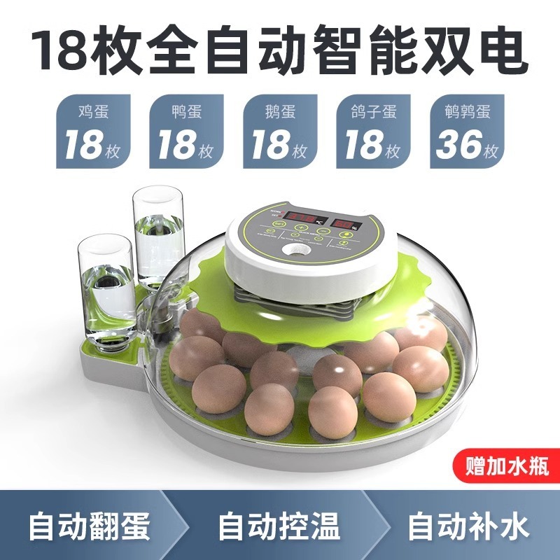 孵化器小型家庭用全自動孵化機知能ひよこ孵化器珍鳥卵専用越境供給源|undefined