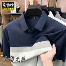 ��ľ�Bײɫ����Polo����2026�Ŀ�ߙn�̄՟o����CT������ְ��b