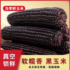 黒モチトウモロコシの低脂の粗食栄養の健康な老人の子供は新鮮な食事を代行します。