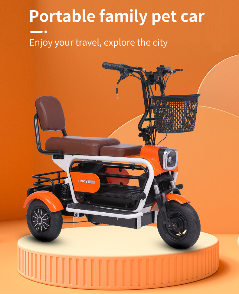Electric Tricycle for Elderly/Pet Use