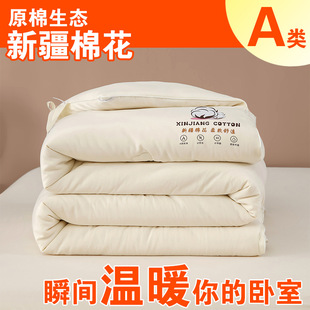 Cotton Xinjiang Cotton Quilt Inside and Outside Pure Cotton Quilt Core Spring and Autumn Quilt Thickened Winter Quilt Single Student Dormitory Cushion Quilt